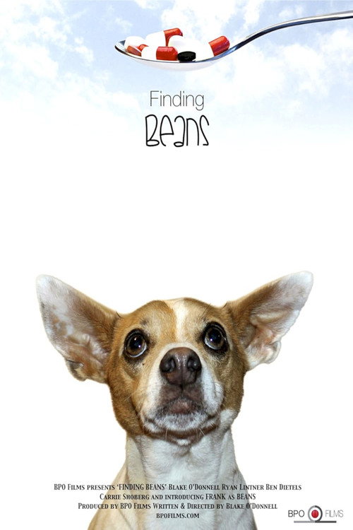 Movie poster for Finding Beans