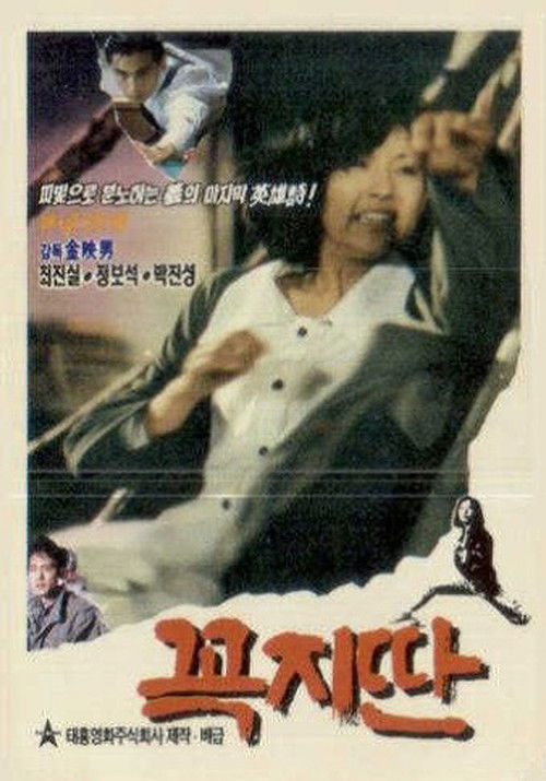 Movie poster for Straight (1990)