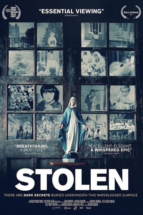 Movie poster for Stolen (2023)