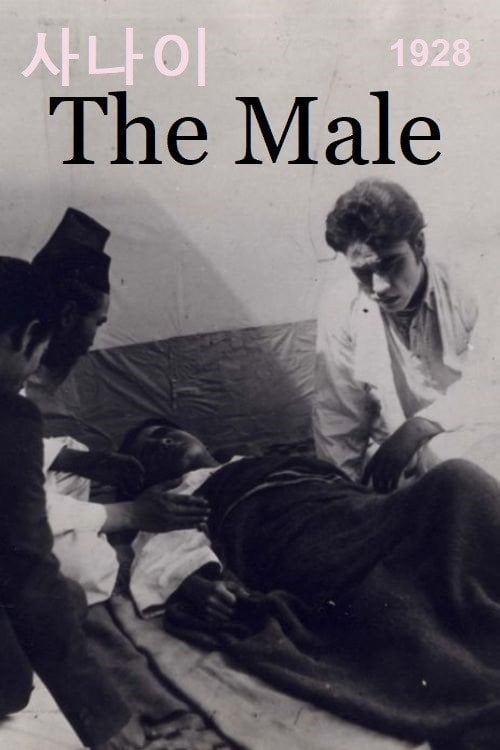 Movie poster for The Male (1928)