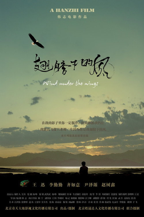 Movie poster for Wind Under The Wings (2010)
