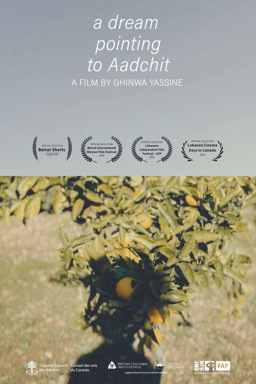Movie poster for A Dream Pointing to Aadchit (2025)