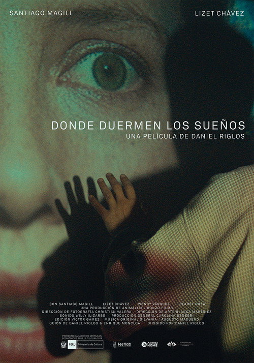 Movie poster for Where Dreams Sleep