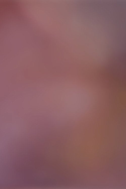 Movie poster for Finding Vision, Finding Voice (2019)