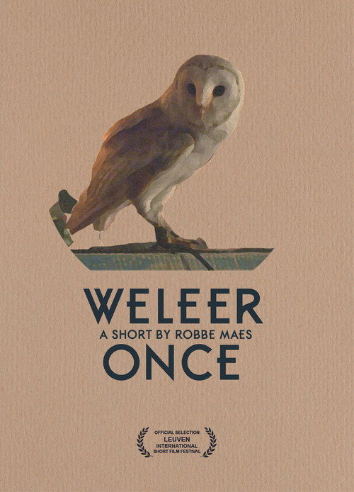 Movie poster for Once (2015)