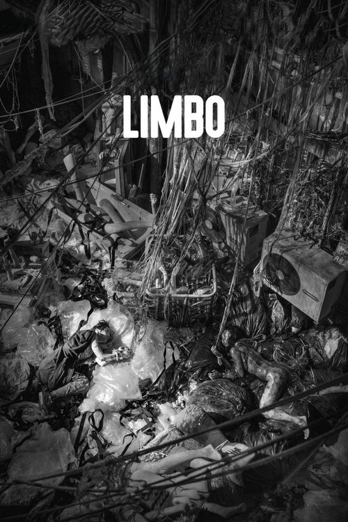 Movie poster for Limbo (2021)