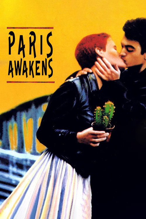 Movie poster for Paris Awakens (1991)