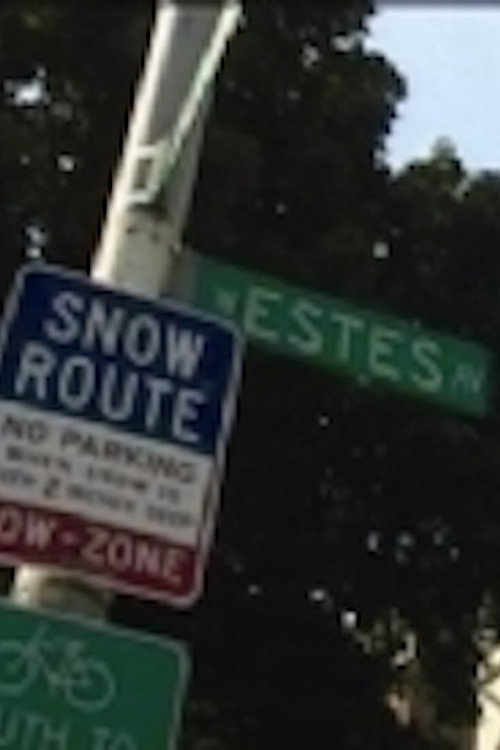 Movie poster for Estes Avenue (2005)