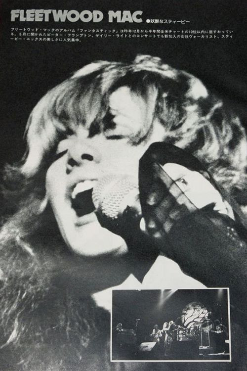 Movie poster for Fleetwood Mac on The Midnight Special - 2/27/76 - 4/9/76 (1976)