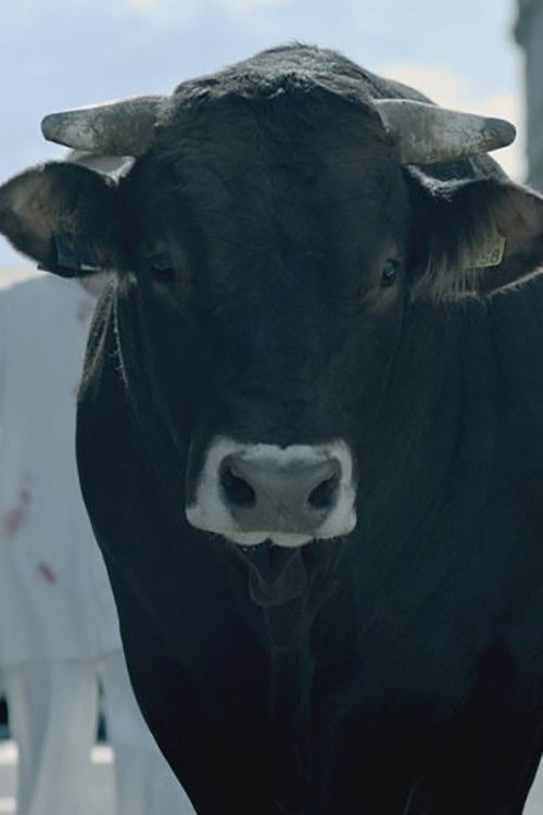 Movie poster for The Bull (2019)