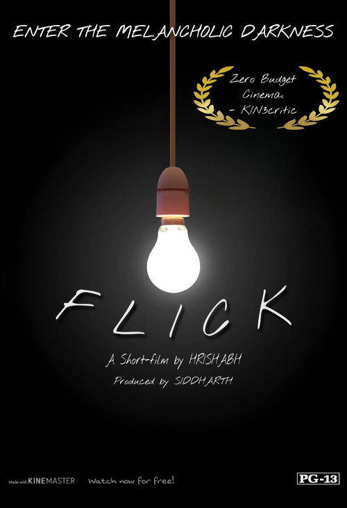 Movie poster for The Flick (2024)