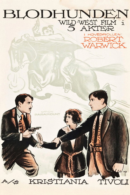 Movie poster for In Mizzoura (1919)