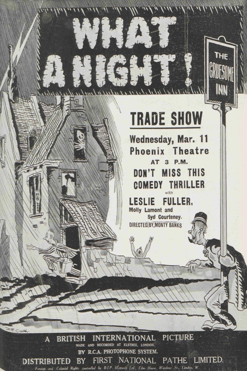 Movie poster for What a Night! (1931)