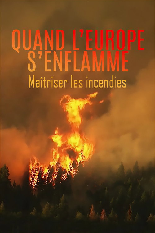 Movie poster for Wenn Europa brennt: Die Macht des Feuers (2018)