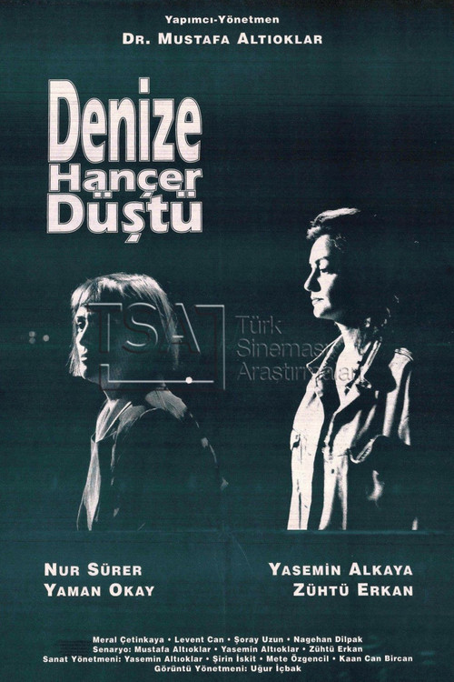 Movie poster for Denize Hançer Düştü (1992)