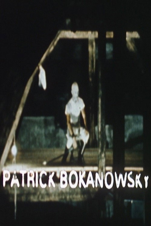 Movie poster for A Creator of the Imaginary: Patrick Bokanowski - Short Film (1977)