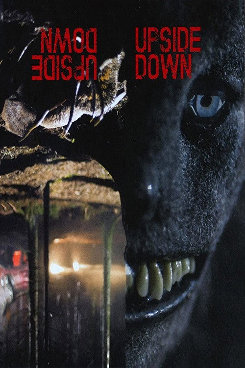 Movie poster for UpsideDown (2014)