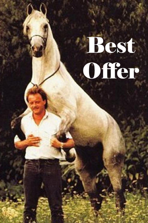 Movie poster for Best Offer (1993)