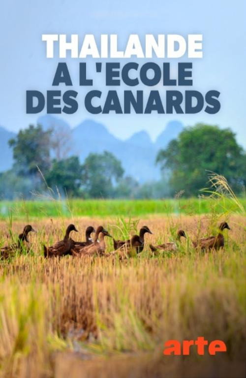 Movie poster for Thaïlande, à l'école des canards (2020)