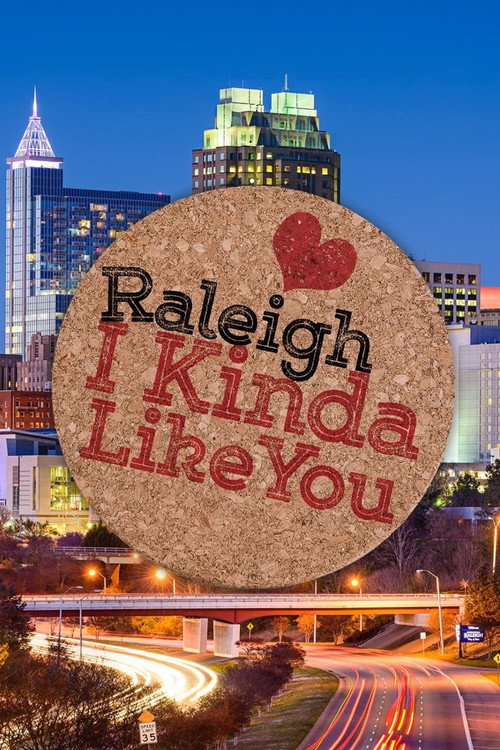 Movie poster for Raleigh, I Kinda Like You (2018)