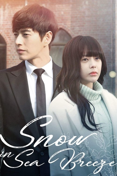 Movie poster for Snow In Sea Breeze (2015)