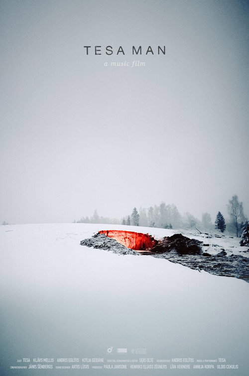 Movie poster for TESA MAN (2024)