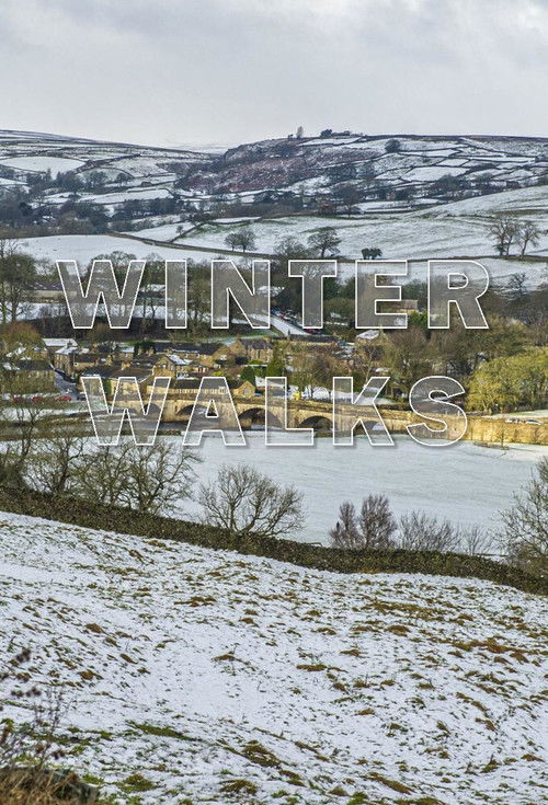 Winter Walks poster