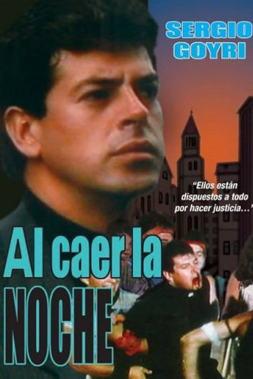 Movie poster for When the Night Falls (1991)