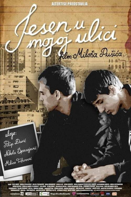 Movie poster for Autumn in My Street (2009)