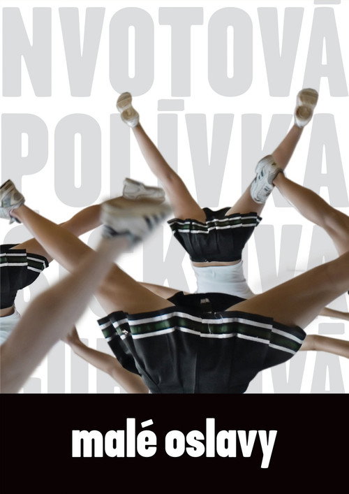 Movie poster for Small Celebrations (2008)