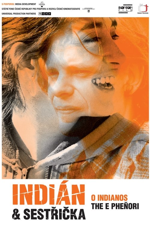 Movie poster for The Indian and the Nurse (2006)