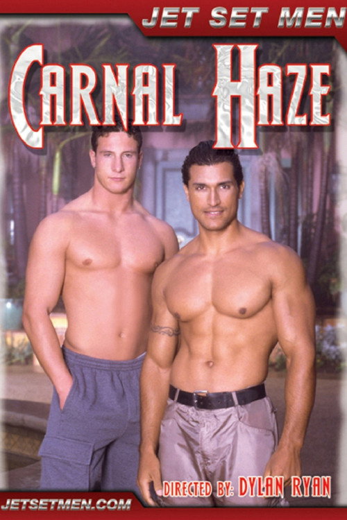 Movie poster for Carnal Haze (2004)