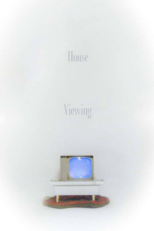 Movie poster for House Viewing (2024)