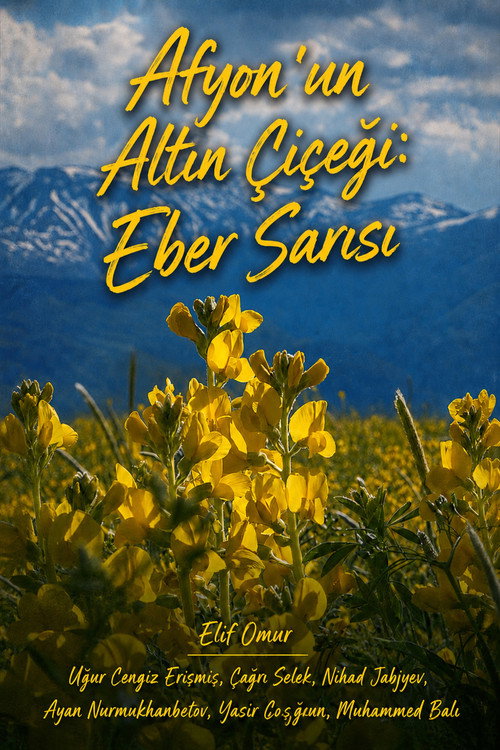 Movie poster for Afyon'un Altın Çiçeği: Eber Sarısı