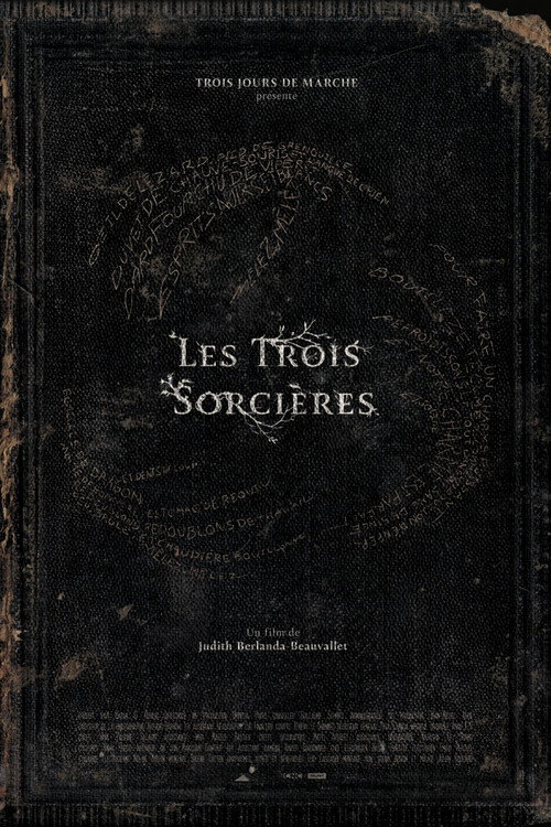 Movie poster for Les Trois Sorcières (2025)