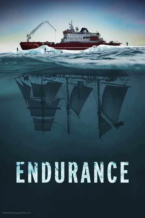 Movie poster for Endurance (2024)