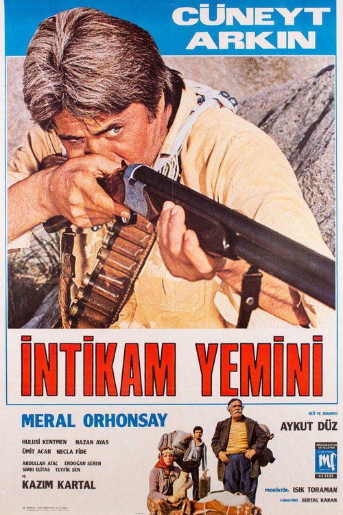 Movie poster for İntikam Yemini (1981)