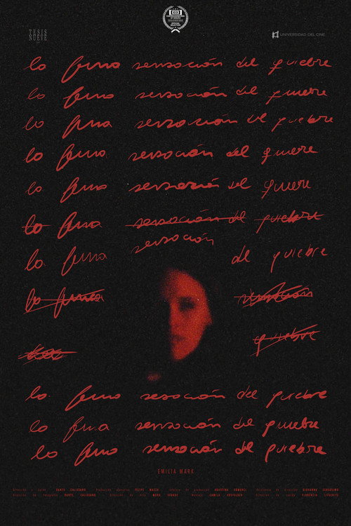 Movie poster for La fina sensación del quiebre (2026)