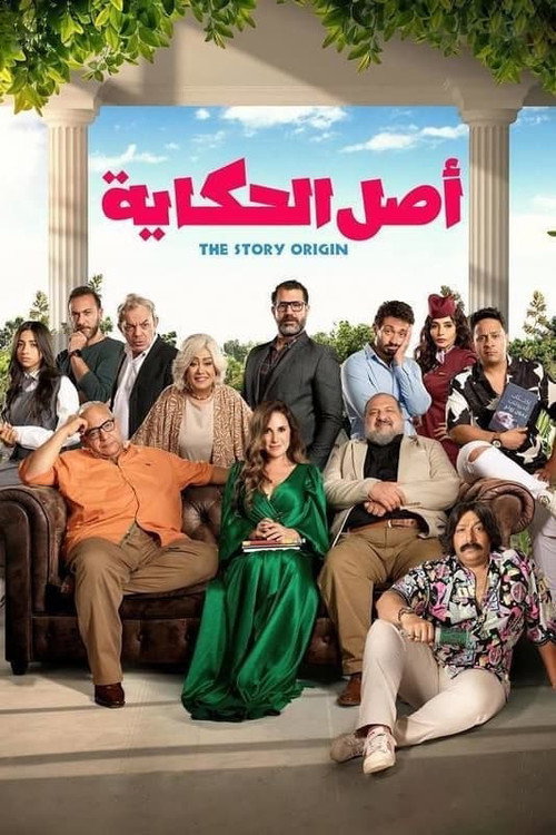 Movie poster for The story origin