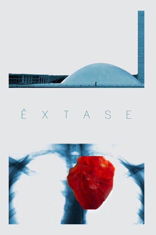 Movie poster for Ecstasy (2020)