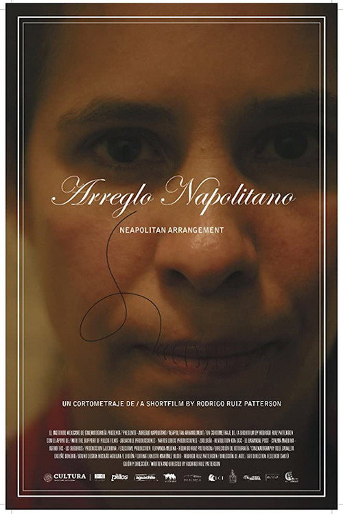 Movie poster for Neapolitan Arrangement (2020)