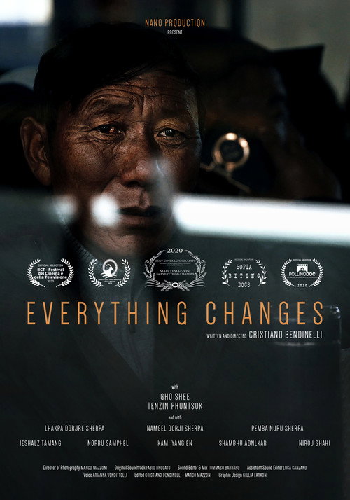 Movie poster for EVERYTHING CHANGES