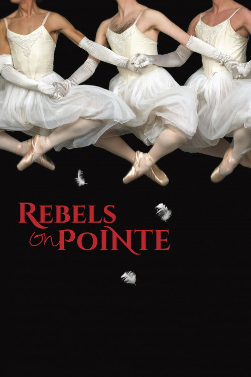 Movie poster for Rebels on Pointe (2017)