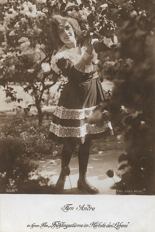 Movie poster for Frühlingsstürme im Herbste des Lebens (1918)