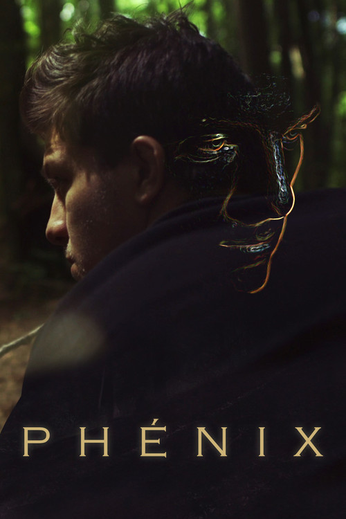 Movie poster for The Phoenix (2020)