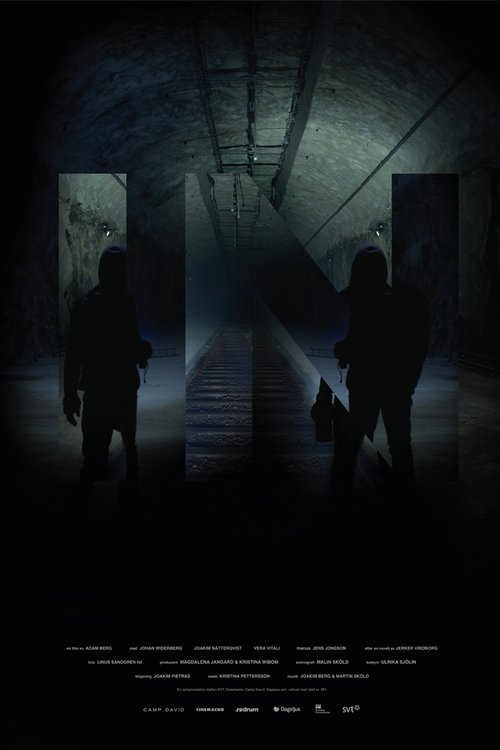 Movie poster for In (2011)