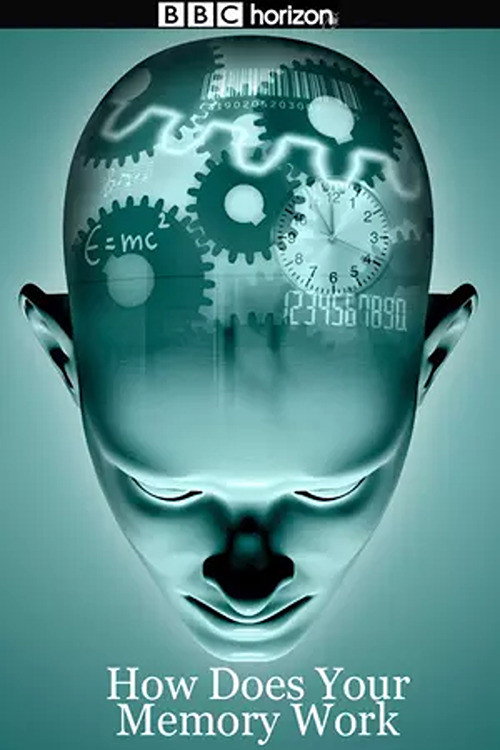 Movie poster for How Does Your Memory Work (2008)