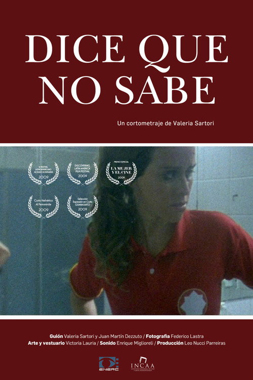 Movie poster for Dice que no sabe (2008)