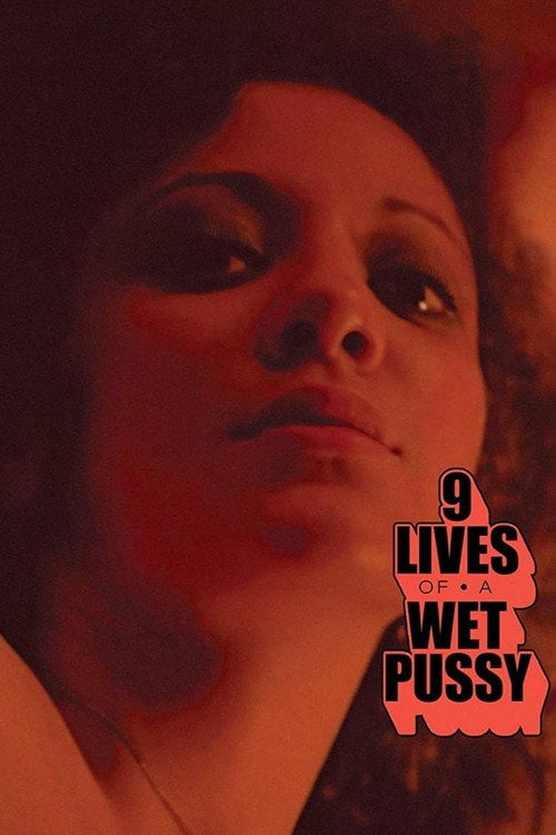 Movie poster for 9 Lives of a Wet Pussy (1976)