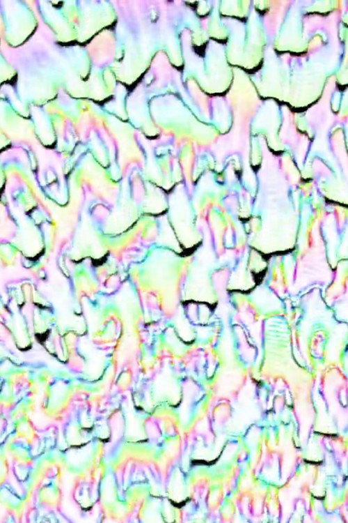 Movie poster for Melting Rainbow Heart (2014)